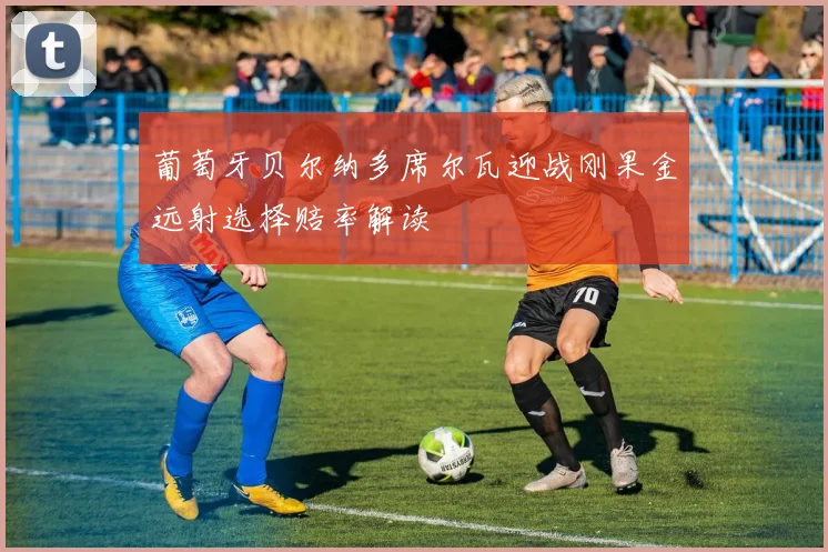 葡萄牙贝尔纳多席尔瓦迎战刚果金远射选择赔率解读